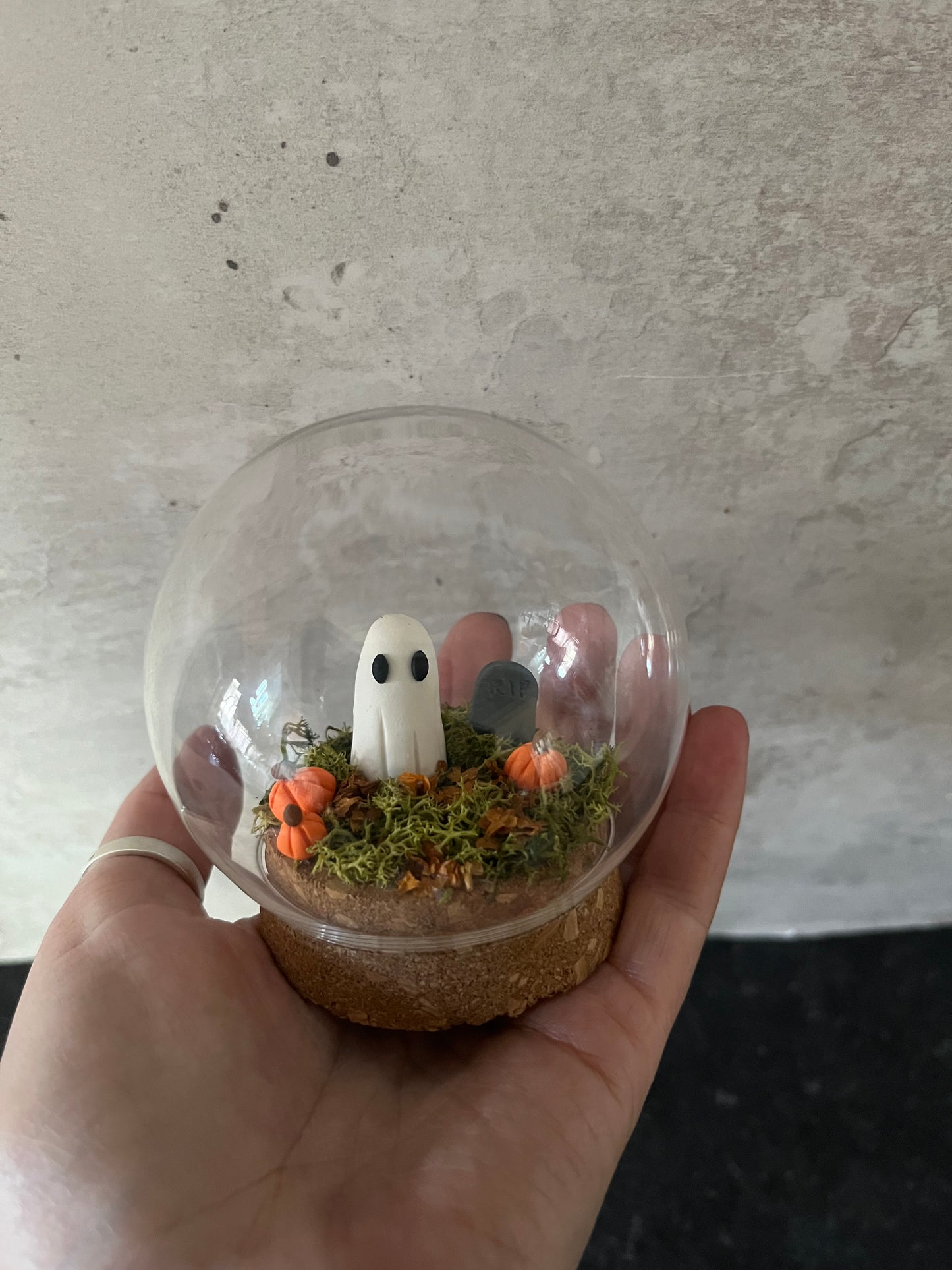 Ghost Terrarium
